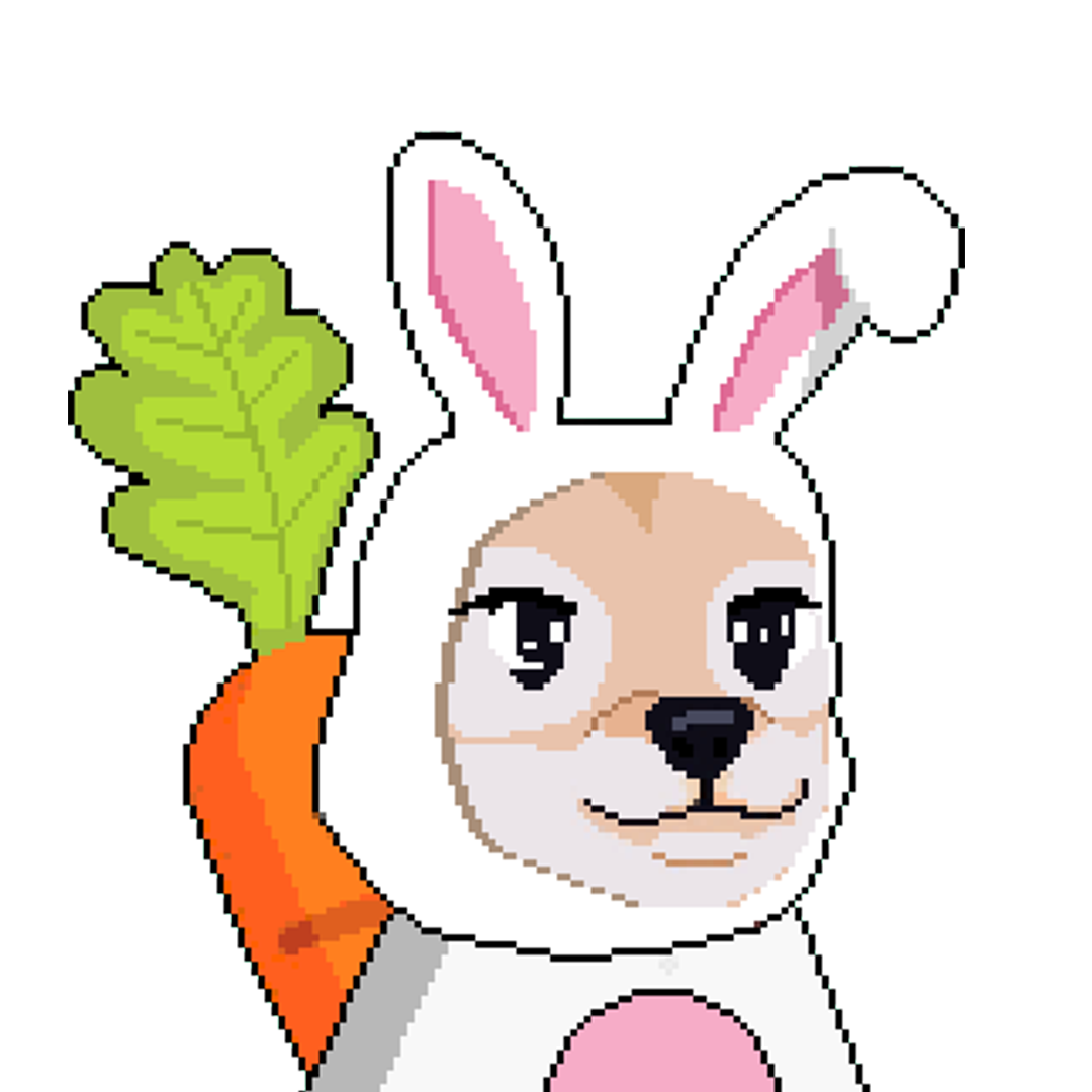 DUIDUI mascot